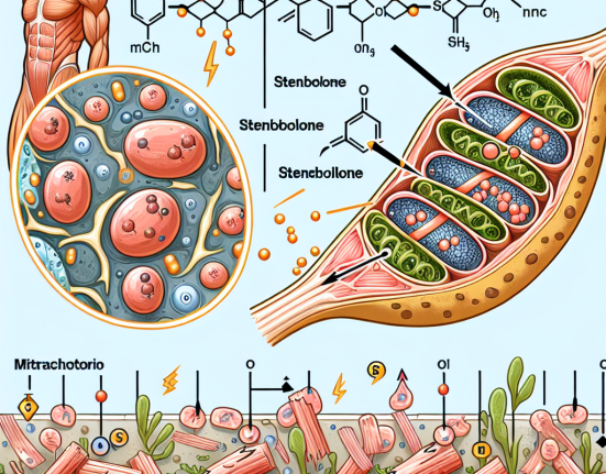 Wie Stenbolon die mitochondriale Funktion in Muskeln beeinflusst